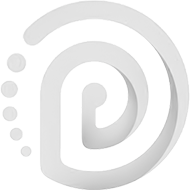 ایده پردازان پاراکس